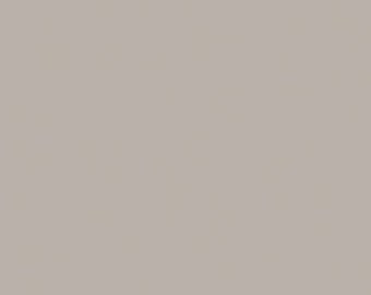 Basics Pewter Solid for Riley Blake, 1/2 yard