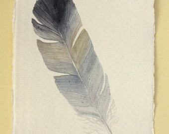 Original watercolour painting feather illustration from a series