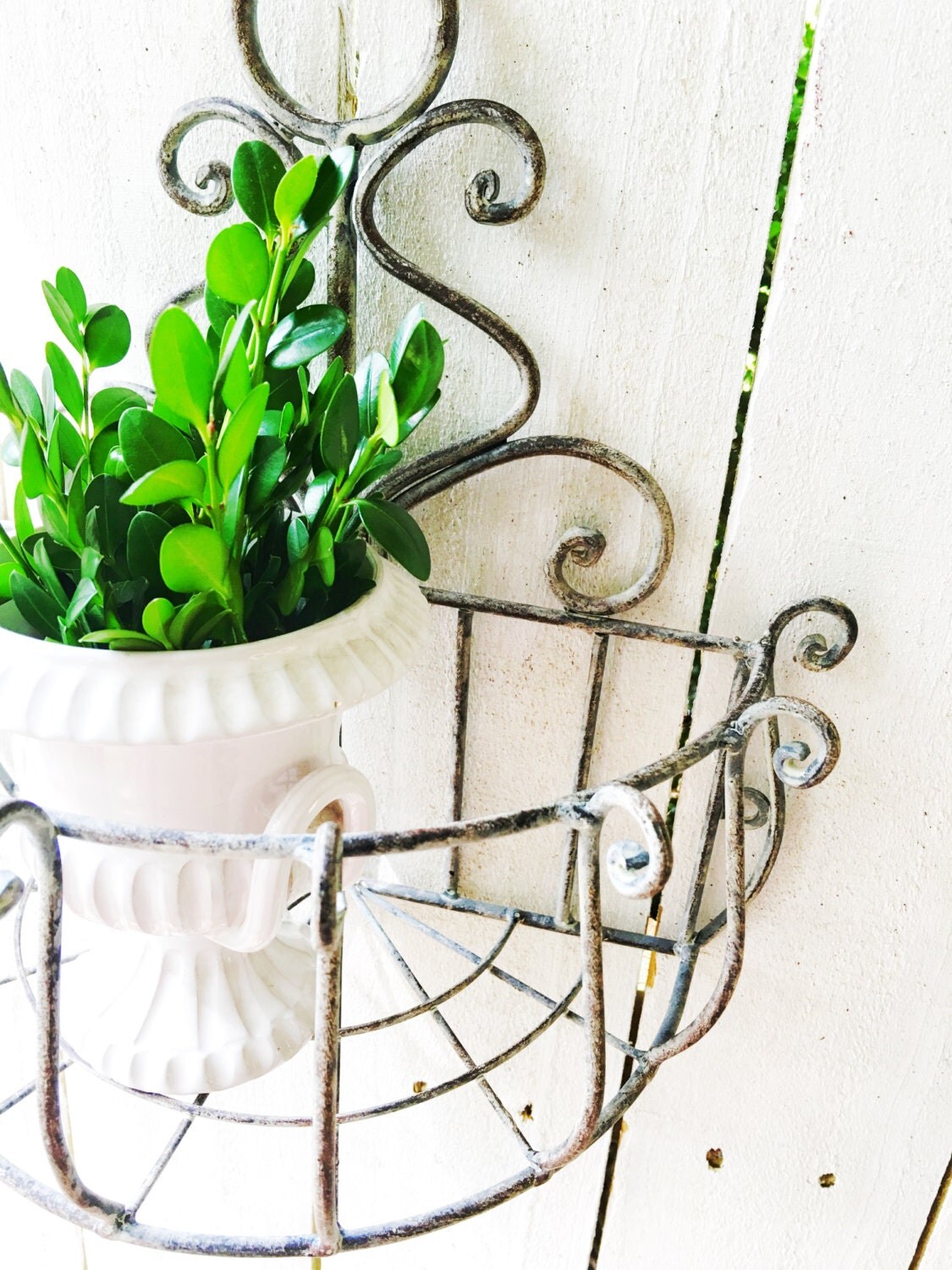 Stone Grey with White Wash Metal Wall Basket Flower