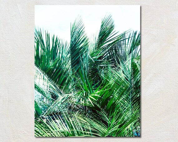 Minimalist Palm Art Palm Tree Print Modern Tropical Artwork