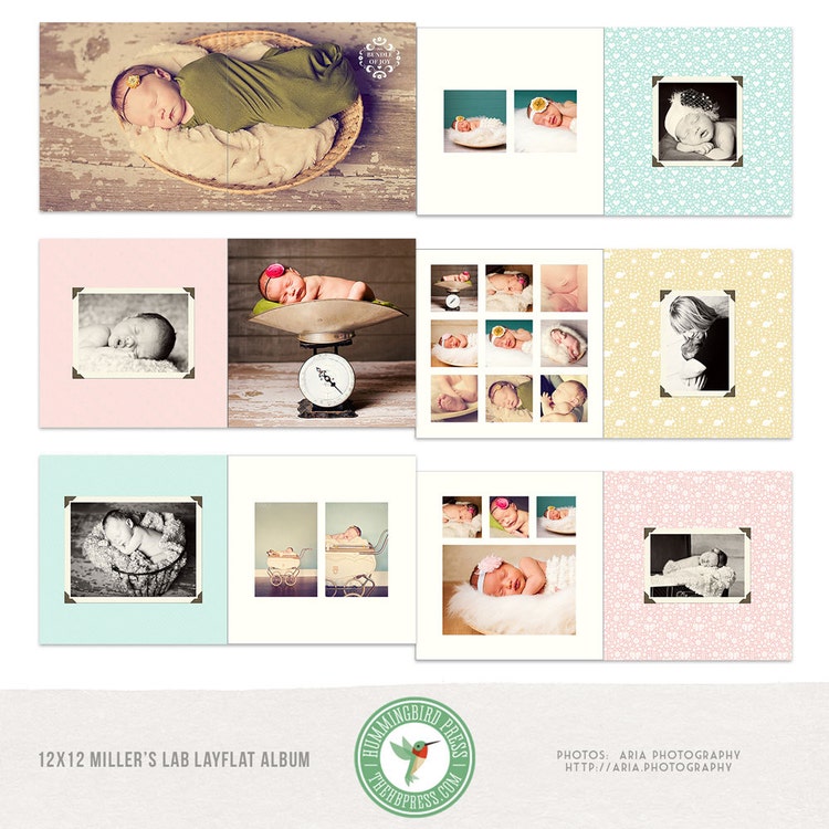 12x12 Millers Lab Layflat Album Newborn by TheHummingbirdPress