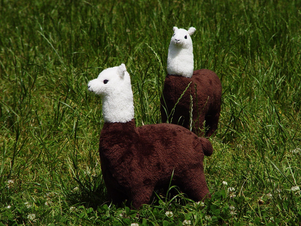 Made to order Stuffed toy big Llama plush toy Llama alpaca