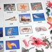 Montessori Ocean Animal Match Miniature Animals With