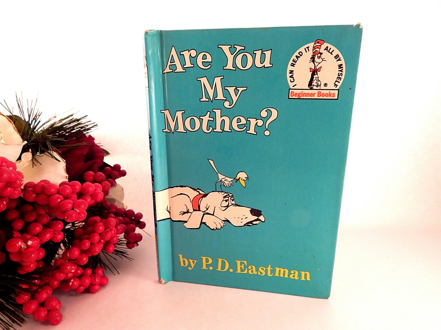 Are You My Mother Children's Book by P.D. Eastman Classic