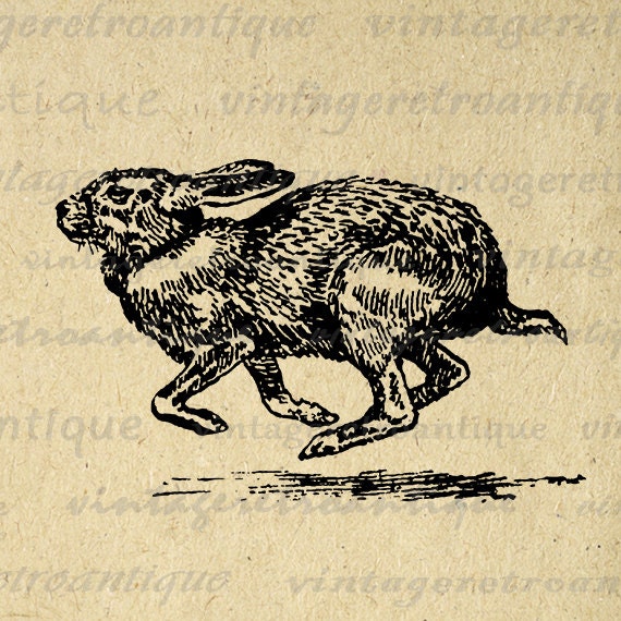 Digital Graphic Running Rabbit Download by VintageRetroAntique