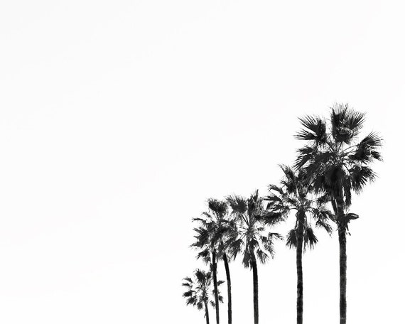 Palm trees Beach photography Summer print black and White