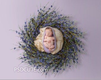Digital Backdrop Newborn PROP Flower PURPLE Wreath Nest Rose Twig Branch - CPZ124