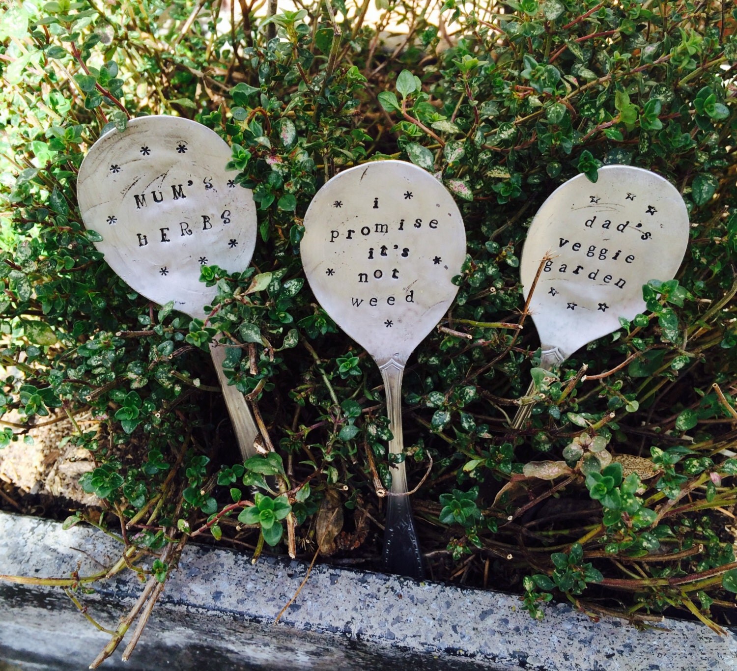 Personalised Garden Herb Plant Markers. by VintageCandy2u on Etsy