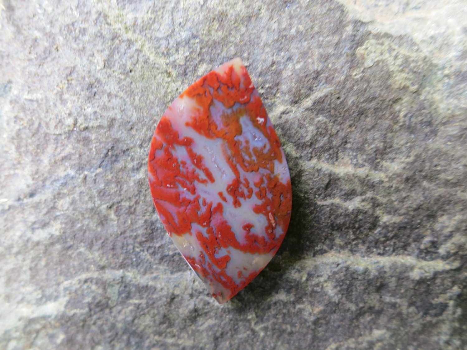 Cadys Red Moss Agate Cabochon 41x23mm