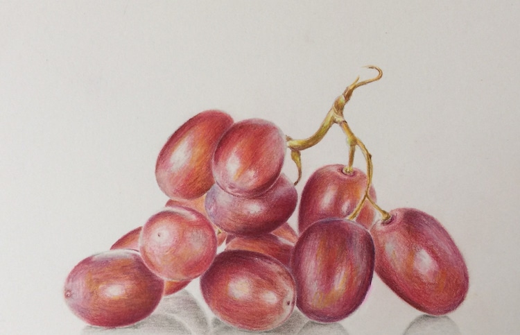 Colored pencil grapes drawing original art still by SuayaArt