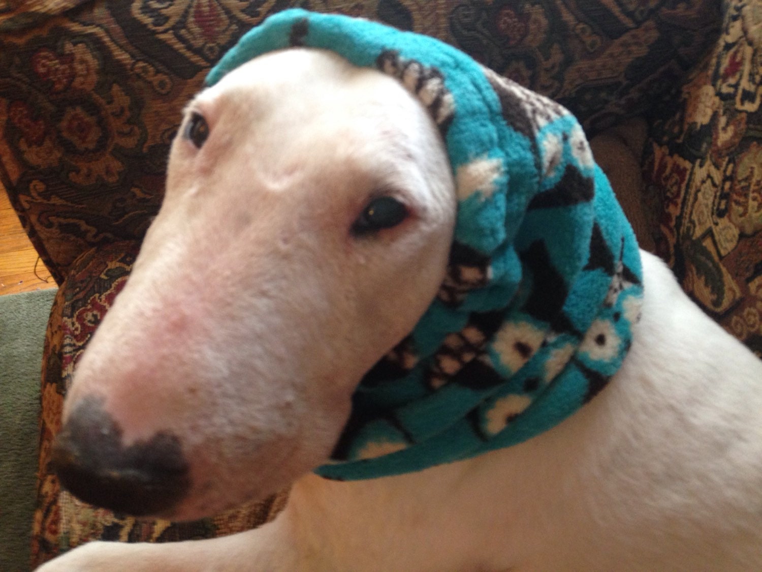 Custom made snoods for dogs
