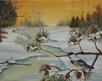 Black Capped Chickadee