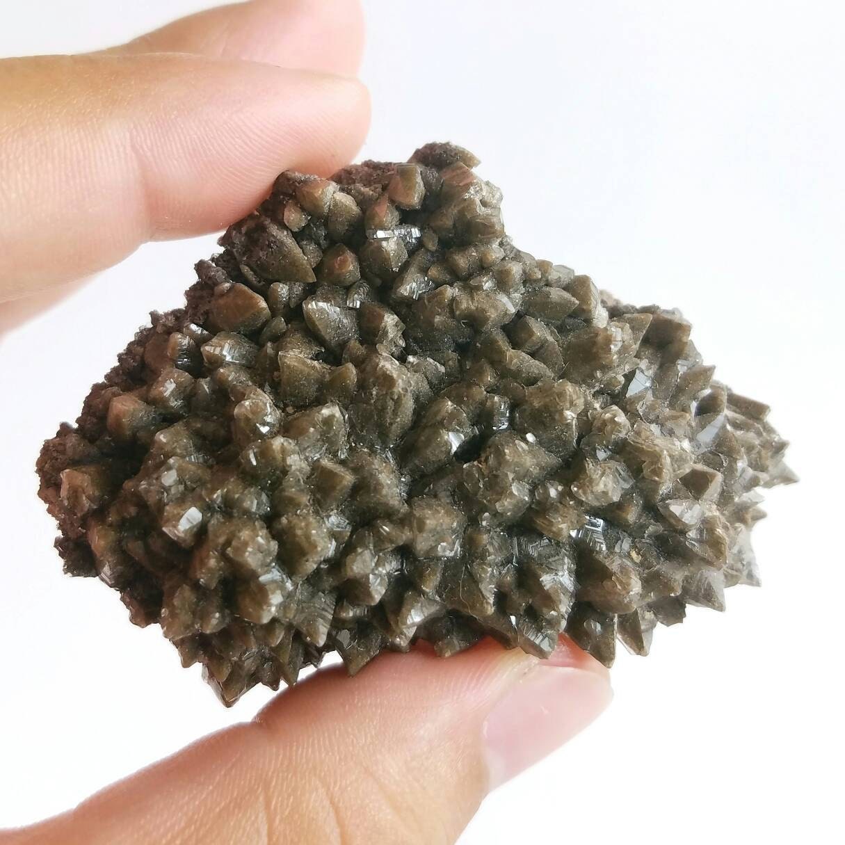 Lustrous Brown Calcite Scalenohedral Crystals Chihuahua