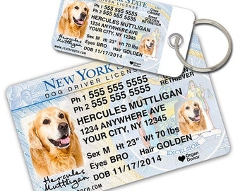 New York Driver License Custom Pet ID Tags and Wallet Card - Dog ID Tag - Personalized Pet ID Tags