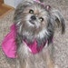 Kathy Bodine Smith