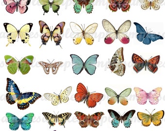 Digital Collage Sheet Butterflies JPEG-Instant Download butterfly clipart Digital Scrapbook Paper butterfly