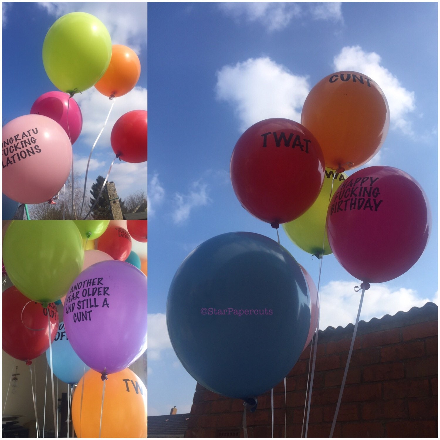 Sweary insult abusive balloons adult balloons by StarPapercuts1