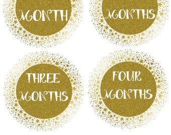 Baby Month Stickers Monthly Baby Stickers Photo Sticker Milestone Sticker Month by Month Baby Sticker Shower Gift Monthly Bodysuit Stickers