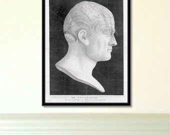 Phrenology Head antique reproduction print giclee print phrenology print anatomy print vintage print antique print phrenology head