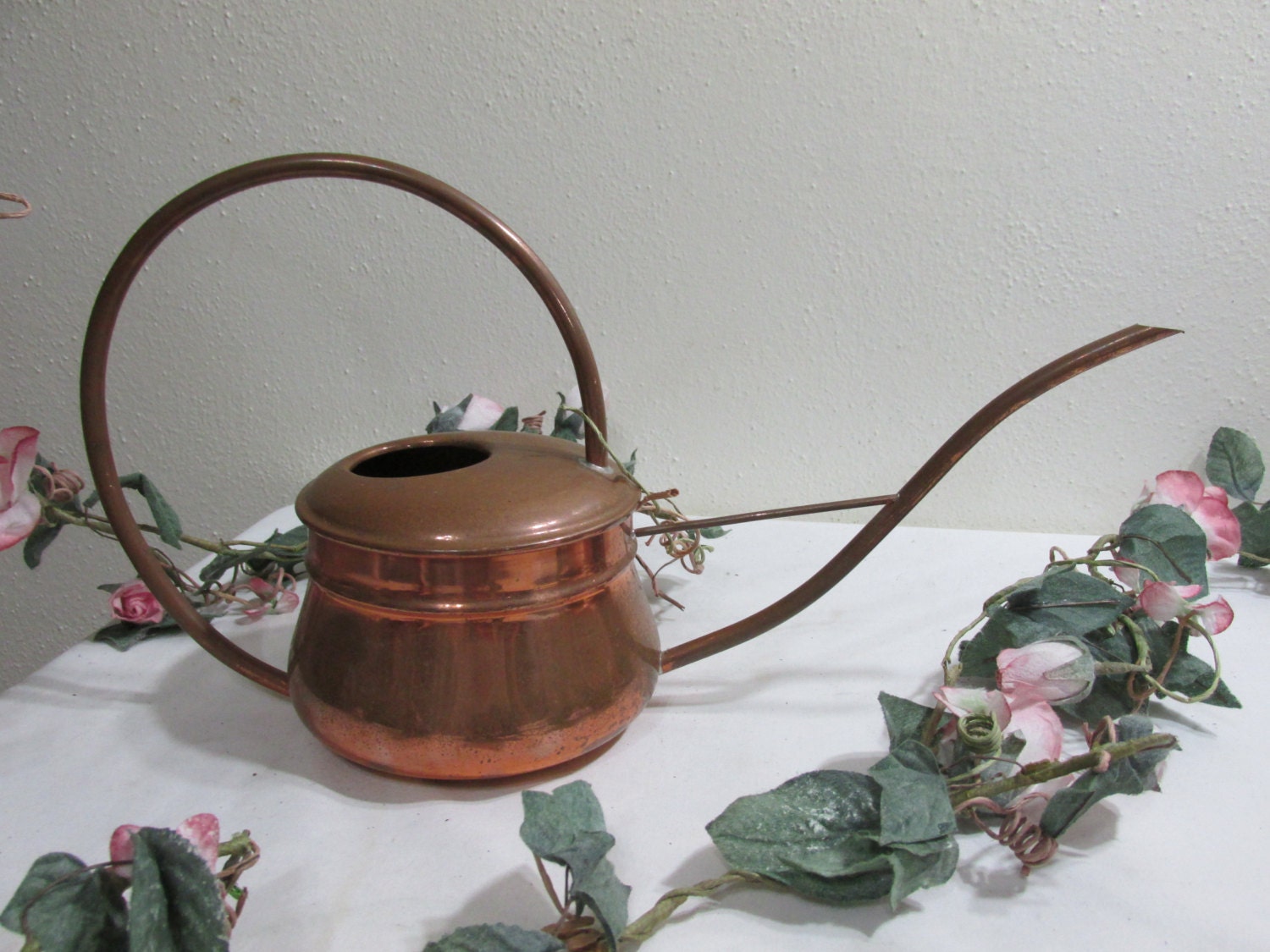 Copper Watering Can House Plant