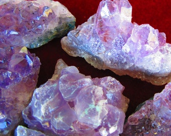 WHOLESALE AMETHYST GEODE Crystal Clusters - 1/2 to 50 Lb Lot Small (1/2-3 Oz) Amethyst Geode Crystals * Great for Jewelry! by GeoSpecimens