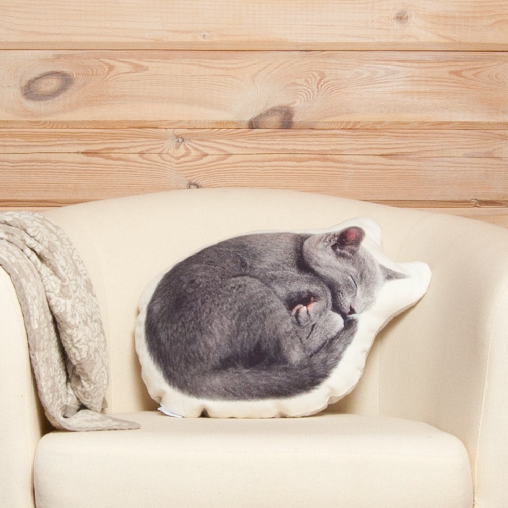 calming cat pillow