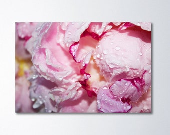 Oversized Art, Large Peony Art, Flower Canvas Art, Large Canvas Art, Large Floral Art, Pink Canvas Gallery Wrap, Peony Photography Large Art