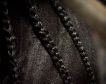 Black Braids