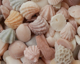 100 MINI Sea Shell Soaps
