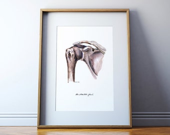 Shoulder Joint Anatomy Watercolor Print - Anatomy Art - Humerus Scapula Clavicle Watercolor - Orthopedic Art
