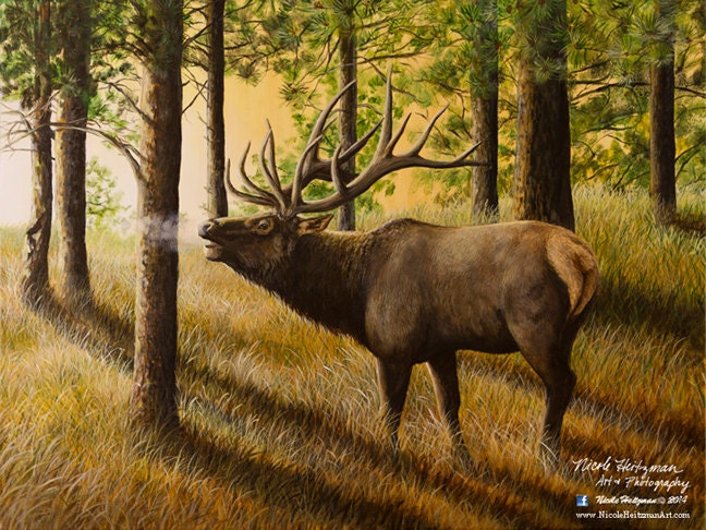 Elk Print Evening Echoes Elk Art Elk Painting Elk Hunting Giclee Canvas   Il Fullxfull.1062550201 L0q9 