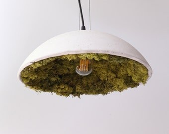 Concrete lamp shade with Iceland Moos