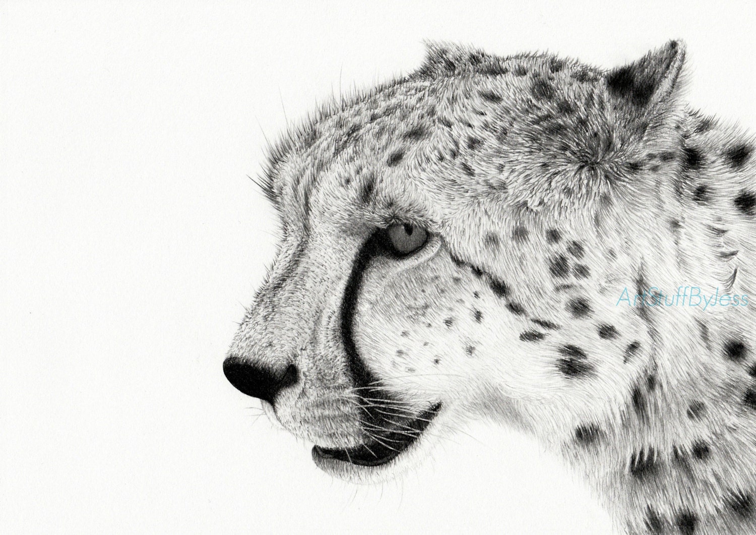 Dibujo De Guepardo - Bosquejo De La Cara De Un Guepardo Ilustración del