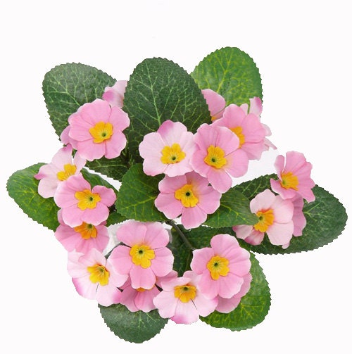 Primrose Bush Primrose flower bush Artificial flower