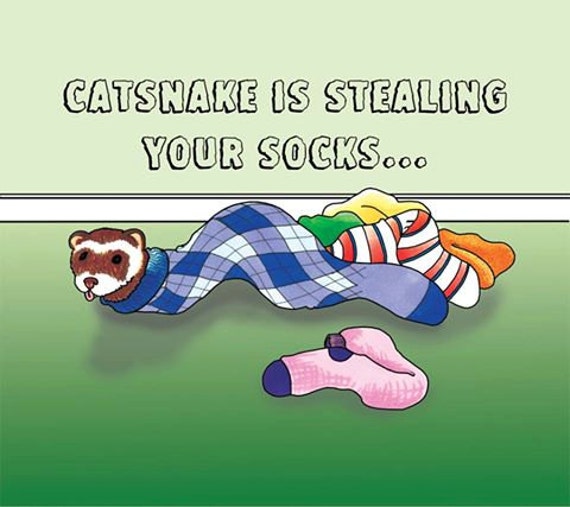 Cat Snake Ferret birthday ferret card ferret greetings