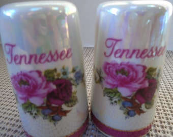 Vintage Tennessee Souvenir Salt/Pepper Shaker Set