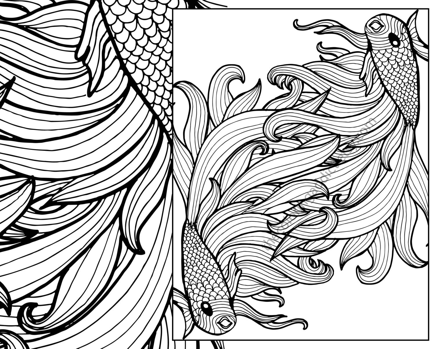 beta fish coloring sheet animal coloring pdf zentangle