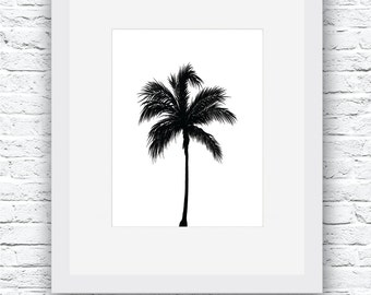 Black And White Palm Tree Photography Gray White Palm Tree