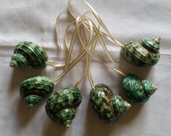 6 Sea Shell Christmas Ornaments, Natural Sea Shell Ornaments, Table Top Tree Ornaments, Shell Christmas Garland Ornament, Christmas Shells