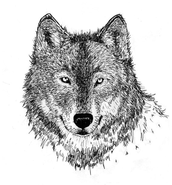 Items similar to Wolf Art Print // Black and White // Pen and Ink ...