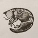 catwytch