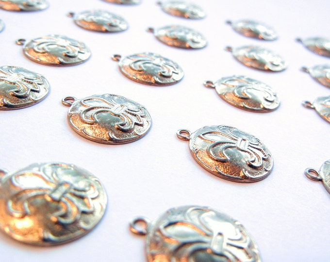 24 Small Round Brass Fleur de Lis Charms