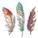 FallenSparrow