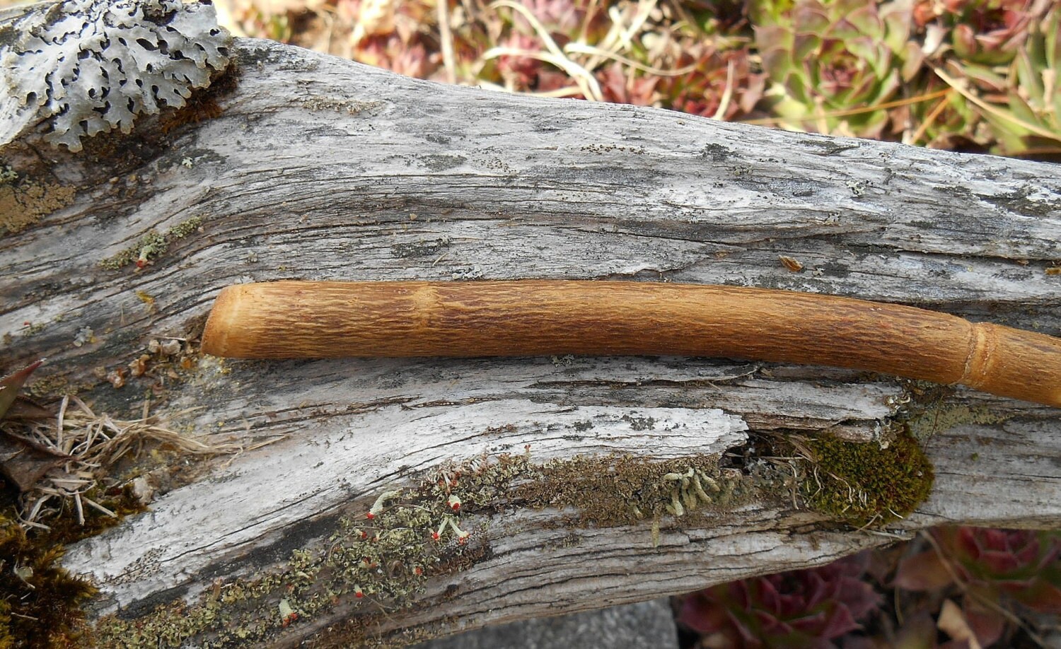 Natural Wood Magic Wand Alder for self confidence spiritual