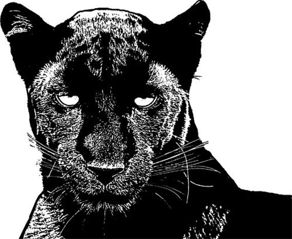SCARICA IMMAGINI PANTERA NERA DA