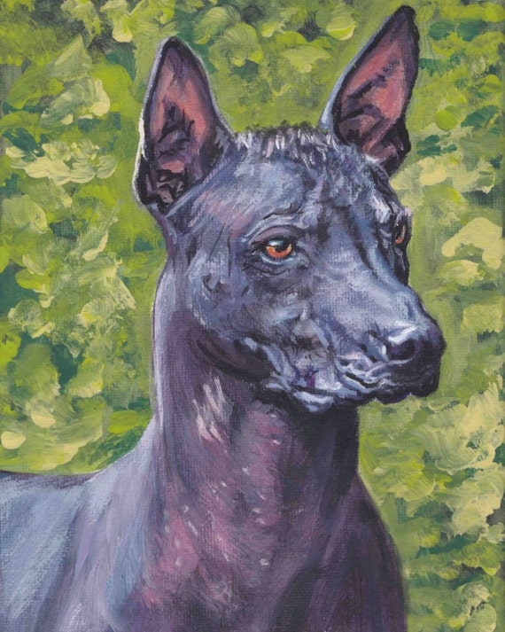 standard Mexican Hairless dog art Xoloitzcuintli xolo CANVAS