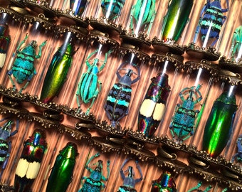 Real beetle necklace Bugs Glass terrarium necklace Top seller Most popular items Top selling items Miniature terrarium jewelry Amber insect