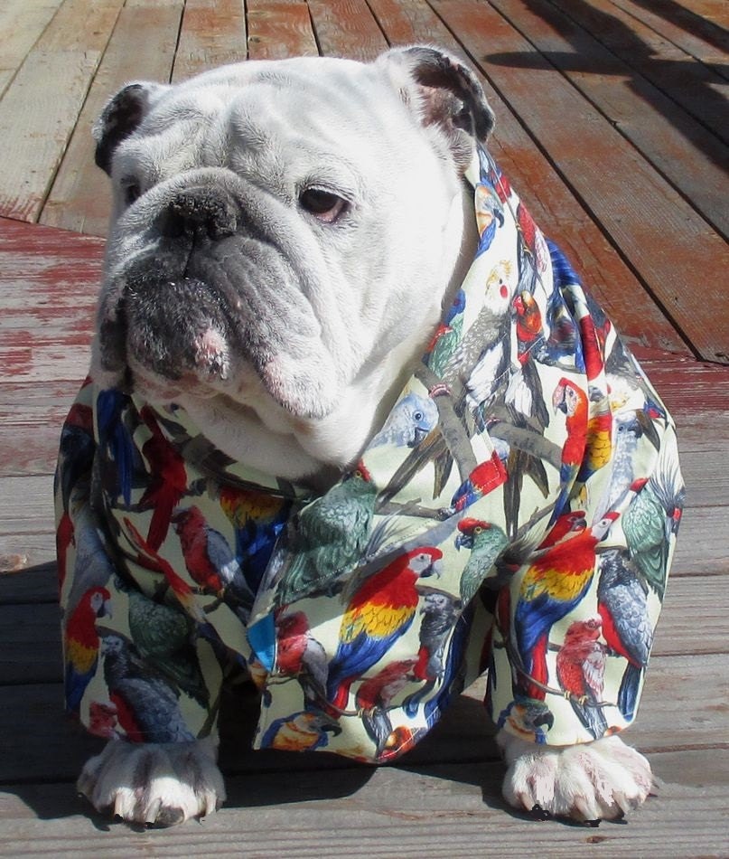 ENGLISH BULLDOG Hawaiian Shirt Hawaiin Dog Shirt Pet