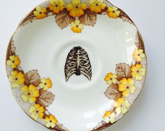Rib Cage plate Yellow and Brown Autumnal Floral with Ribs Bones for Wall Display Caversham China Plate Anatomical Art Collage Unique Gift