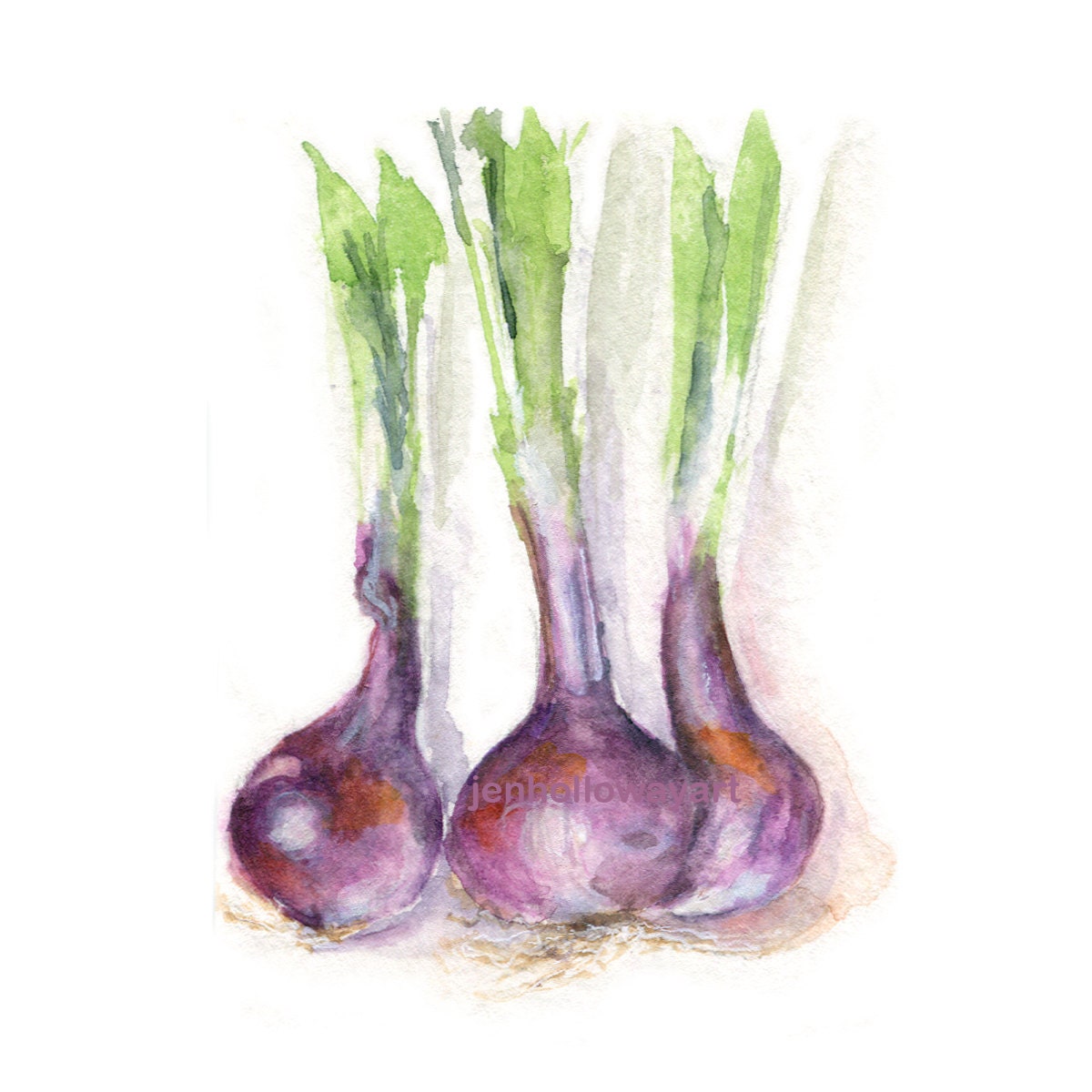 Watercolor Onions Purple Onions Print Vegetable Print